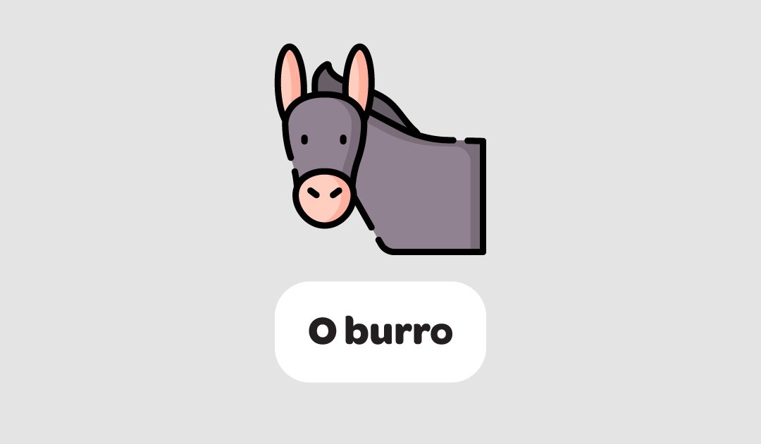 O burro
